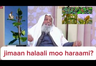 Jimaan Caatin Haraami Moo Halaali
