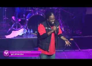  DJ PINK THE BADDEST ROCKERS REGGAE VIDEO MIX VOL 2 OLDSKOOL REGGAE SANCHEZ LUCIANO GLEN