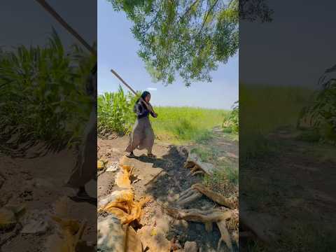 امسك يلا حرام ى الدره الريف المصرى كوميديا