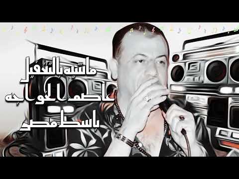 ماشيه بالتغفيل 2024 عاصم الخواجه باسط مصر