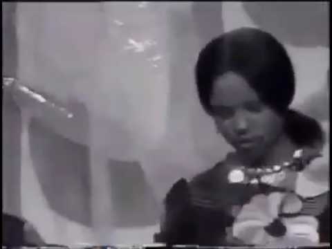 البلابل عشه صغير