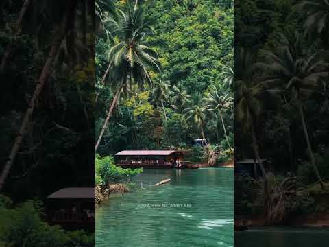 مغامرات الغابة في بوهول الفلبين Jungle Vibes In Bohol Philippines