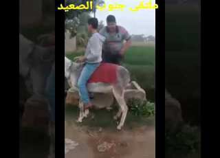 اول مره اركب علي حمار لاتنسو الاشتراك ف القناه