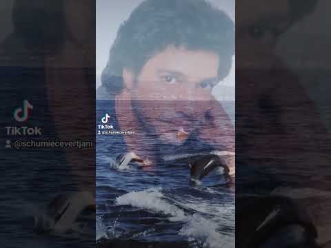 Ma Vie C Est Toi Frédéric François Ma Vie C Est Toi Frédéric François