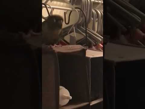 A Typical Day At Work For Glenn Plumber Plumbinglife