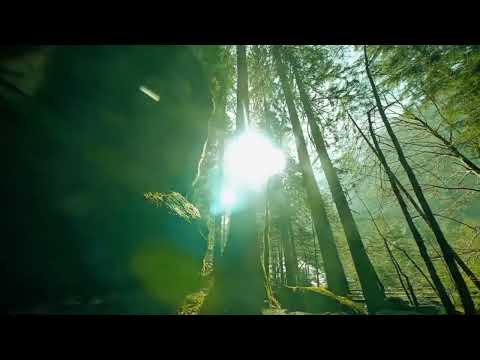 Buge Kaffa Offical Music ቡጌ Sefu On Ebs