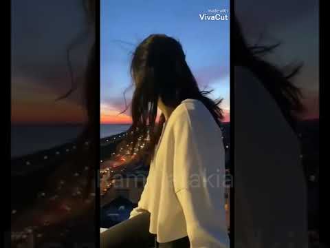 حالات حب فضل شاكر ياما ياما عشاق نسيوا الاشواق ضاعوا وصارو بلهوا اوراق معقول انساك حالات واتس حب