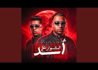  Asad Elshawre3