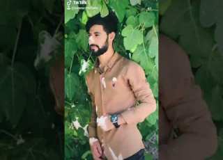 ديار علي هيشتا وينا كاني تو