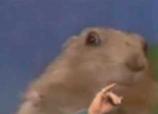 Dr Evil Dramatic Chipmunk