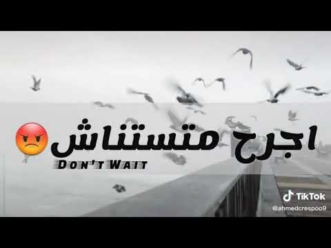 حالات واتس امنع ياقلبي الحب