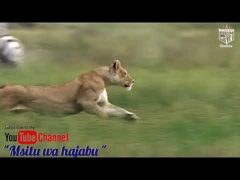 Msitu Wa Hajabu Ep 1 Kenyanmovie Lugarisanaagro1120 KenyanHistorian Africanfilms2026