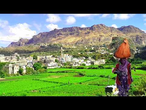 مسرع نساني حبيبي اقوى اغنية للمغتربين مناظر مشاهد حصريأ اسمع