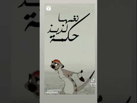 هاكونا ماتاتا اول مرة اعرف انها بتتقال كده هاكونا ماتاتا اول مرة اعرف انها بتتقال كده