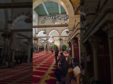 اسلام صبحي اسلاميات القارئ اسلام صبحي غزة تباد القارئ جديد قرآن Ali Qabeel اسلام صبحي اسلام