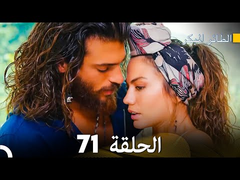 مسلسل الطائر المبكر الحلقة 71 دوبلاج عربي مسلسل الطائر المبكر الحلقة 71 دوبلاج عربي