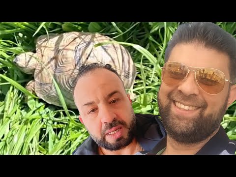 Ichfa Abore Mis N Chokri Achfa