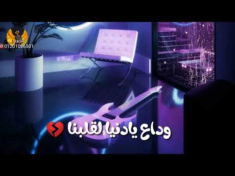 المهرجان الي هيكسر مصر امين خطاب وداع يادنيا لقلبنا الجديد شديد حلات واتس آب