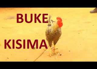 Kisima Majabala Song Buke