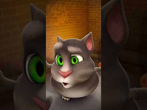 Talking Tom Cat New Video Best Funny Android GamePlay 2585