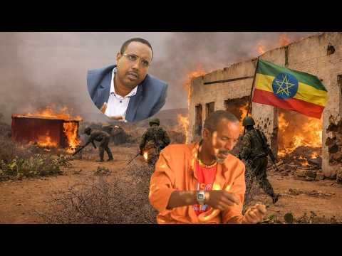 Dad Nolosha Lagu Gubay Santarka Waraarka Ee Dagmada Dhadhamne Dad Nolosha Lagu Gubay Santarka Waraarka Ee Dagmada Dhadhamne