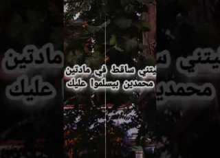 امه محمد كلها بتسلم عليك نرجو الاشتراك