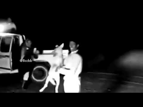 هددوني بذيب فالجبل والذيب فتاك ثم جيته وروضته وصار الذيب جني بدر الشمري