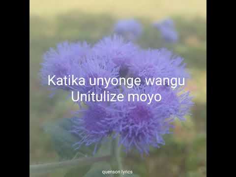 Peleleza Moyo Wangu By Hellena Ken