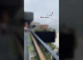  ليش من دون البشر