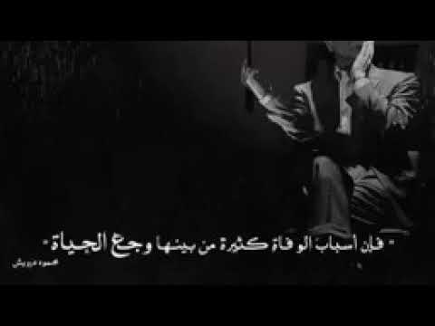 موال ببيع وجع