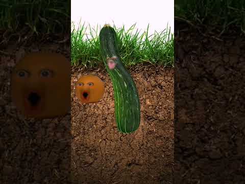 قول بابا يا حمار Funny Comedy Comedyfilms Shortsvideo مضحك كوميدي