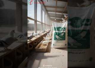  علف حمام خاص للتربية