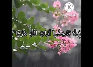 ولا تتخذوا آيات الله هزوا قرآن كريم راحة نفسية