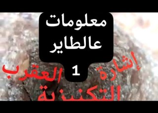  معلومات ع الطاير 1 إشارة العقرب التكنيزية