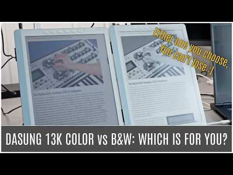Dasung 13K EPaper Monitors Color Vs B W Either Way You Choose You Can T Lose Is It That Simple