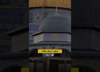وطني يئن من الجراح