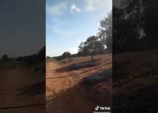خيرة و الفيرمة قلعي الزيتون و بلعي فمك ههه