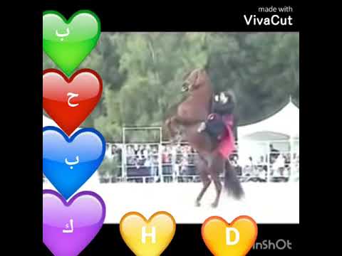 سمرا وعيون كحيله