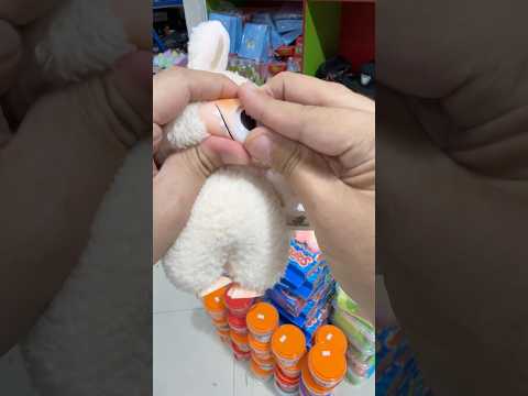 شلت عيون لابوبو محل كل شيء الرياض الرابط بالبايو Shorts محل كل شيء