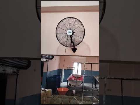 Havai BLDC Wall Mount Fan 26 Inch