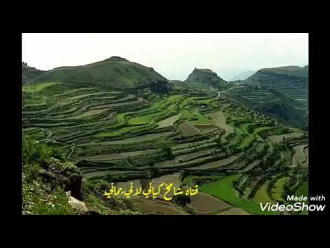 دالي الله حبيب فيه الصفات الجميله الفنان نادر الجرادي