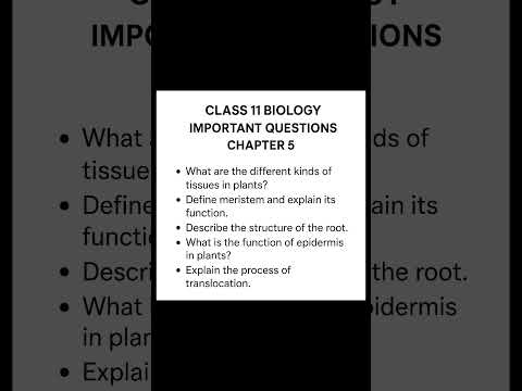 Class 11 Biology Chapter 5 Morphology Of Flowering Plants Important Questions Examoriented Mustdo