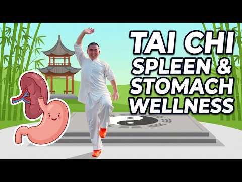 Transform Your Digestion 10 Min Spleen Stomach Qi Tai Chi Transform Your Digestion 10 Min Spleen Stomach Qi Tai Chi