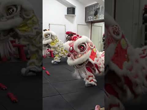 Champion Lion Dance Chinese New Year