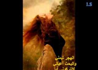  سعدي البياتي الهجر تيمني والبحث اعيني