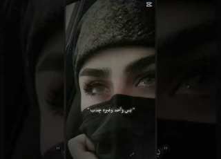 كالولي شو كلبك حجر