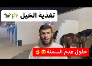 تغذية الخيل ومشاكل عدم السمنة وحلولها