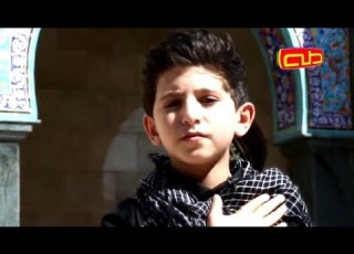 أنا ثائر الرادود هادي فاعور