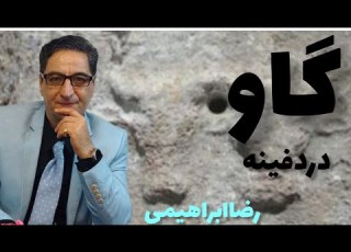  گاو در دفینه یابی گاو در زیر خاکی سرگاو در گنجیابی گوساله در دفینه گاو پرستان باستان رضاابراهیمی
