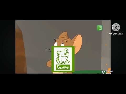 Mbc3 2012 Kingdom Of Saudi Arabia